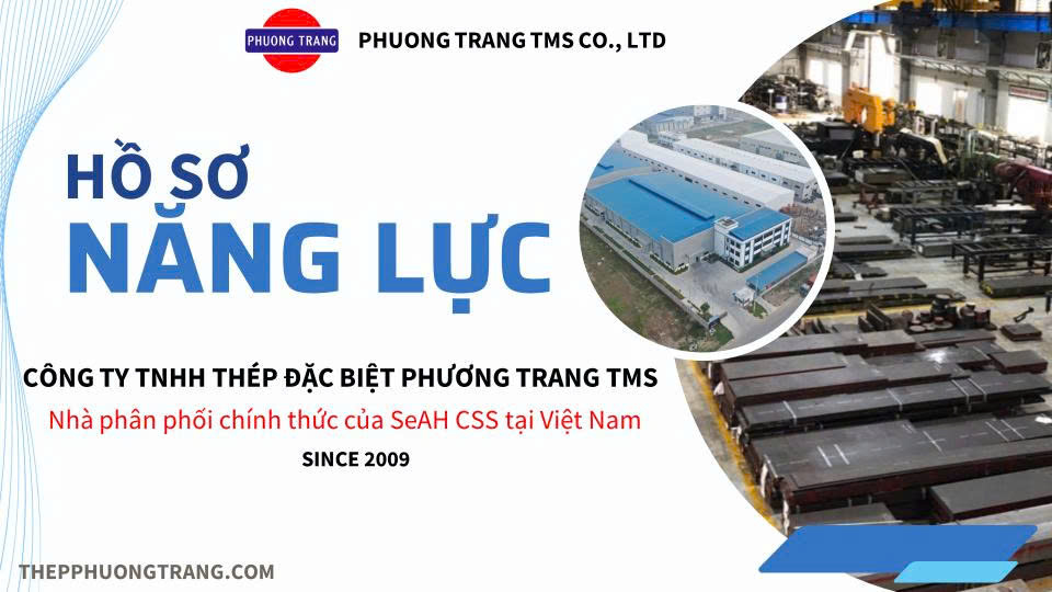 HỒ SƠ NĂNG LỰC PHƯƠNG  TRANG TMS 